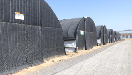 甘肅合水:菌光互補項目預(yù)計5月完成并網(wǎng)